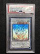 画像1: PSA10 スターダストドラゴン ホログラフィックレア TDGS-JP040 (1)