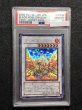 画像1: PSA10 ブラックローズドラゴン ホログラフィックレア CSOC-JP039 (1)